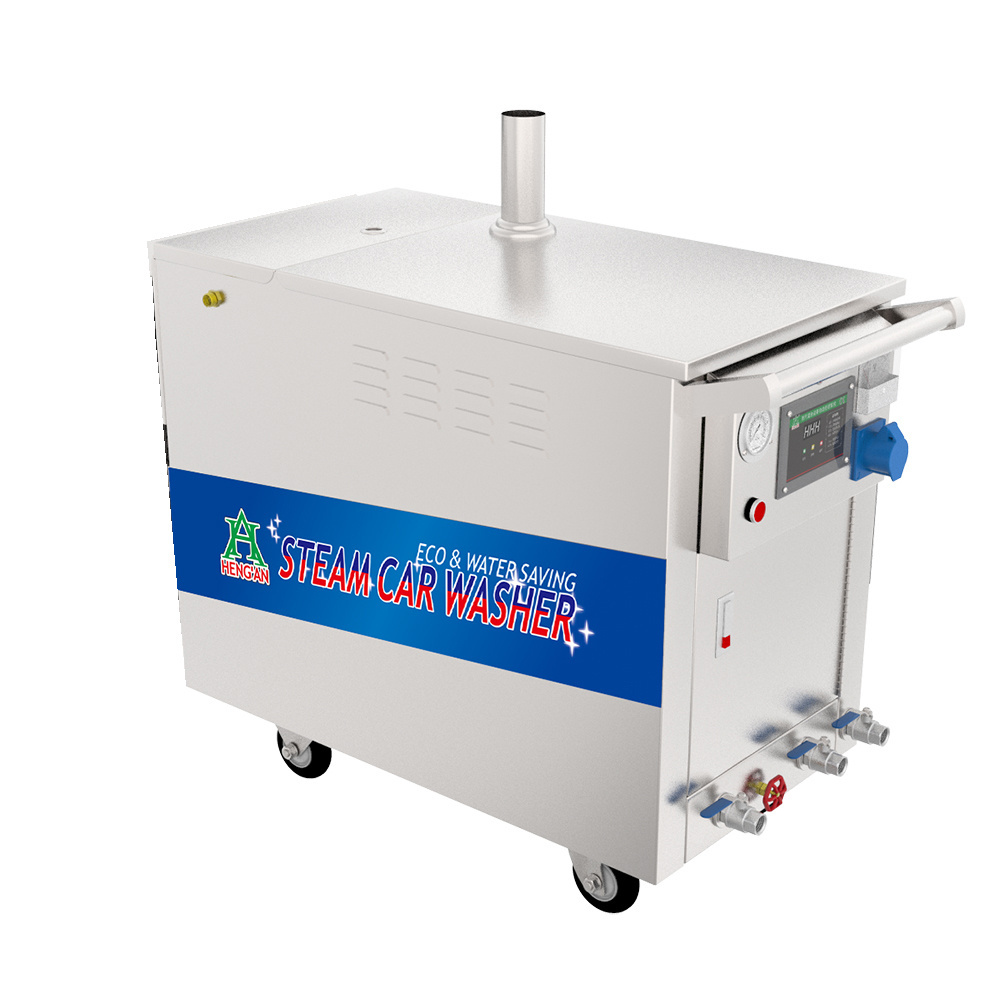 Mobile Steam Car Washer, High Pressure Portable Steam Clean Car Wash Equipment, Door to Door Washing Steam Car Wash Machine