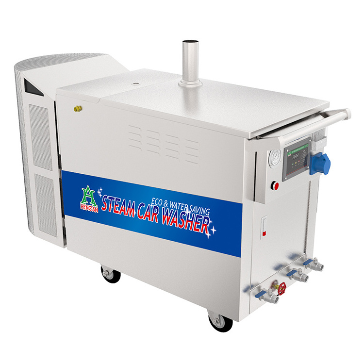 Mobile Steam Car Wash Machine by Van for Door to Door Car Cleaning Services