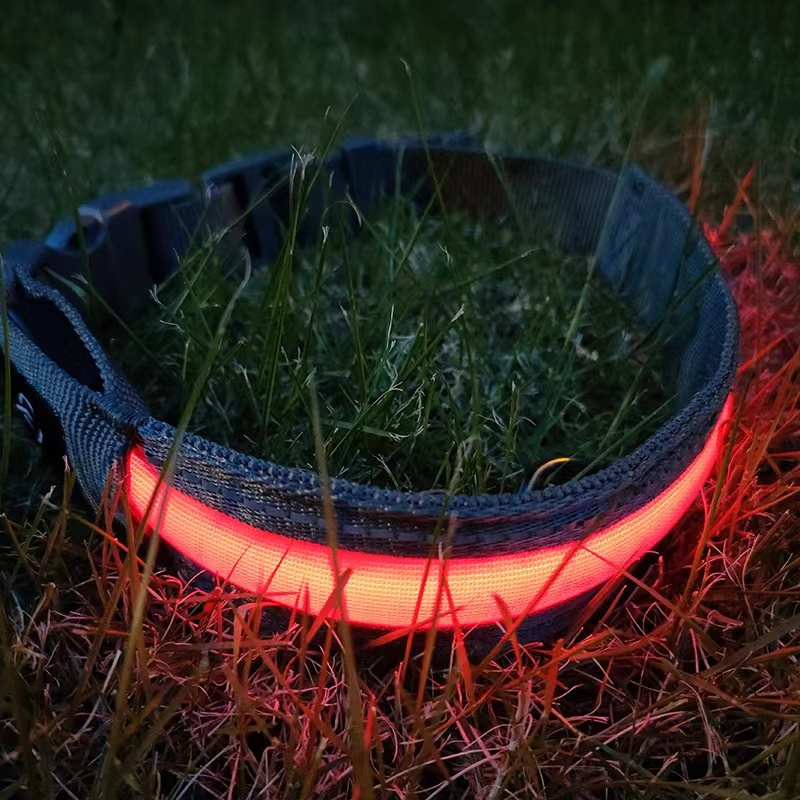 Led Dog Collar Cool Flashing Nylon  Lighting  Chargeable Dog Pet Collar Dog Collars