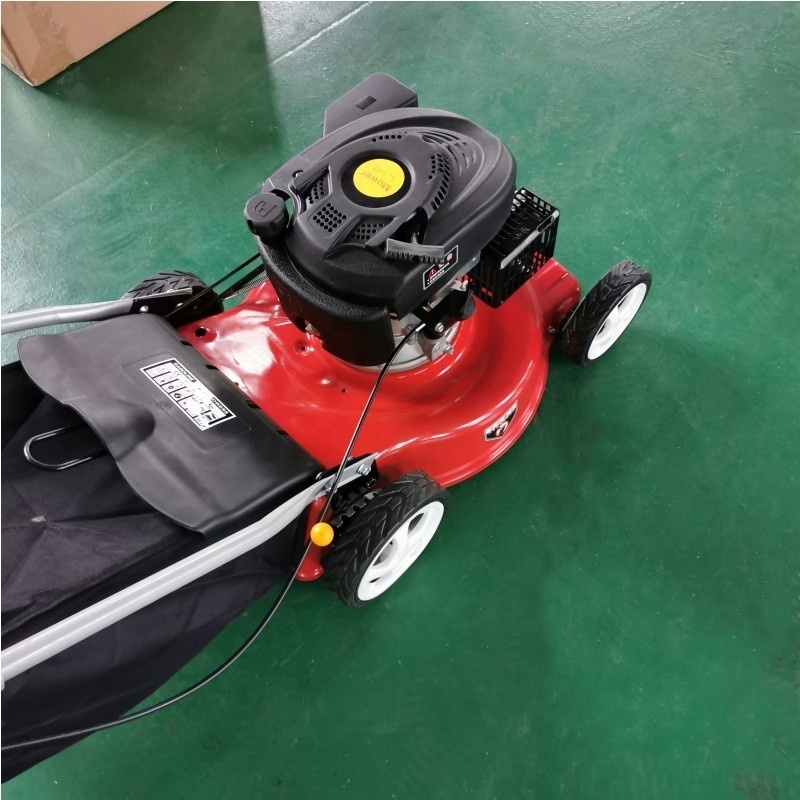 Self-Propelled 5.5Hp Petrol Tractor Riding Blade Cutting Driving Grass Bag Mowers Professional Lawn Mower