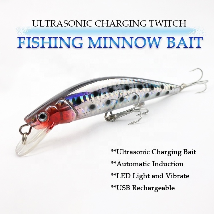 USB Charge Electric Minnow Lure Wobbler Twitching Fishing Bait Flashing Light Fishing Lure