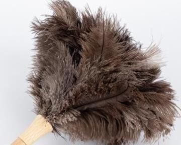 wholesale wooden handle luxury mini chinese ostrich feather duster pink fluffy with wooden handle feather duster cleaning