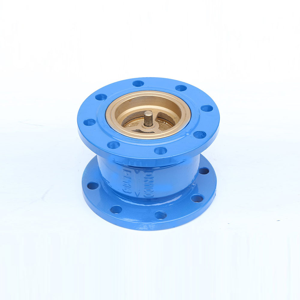 Ductile Iron Flange end Vertical DN50 DN80 DN100 Non return Silent check valve