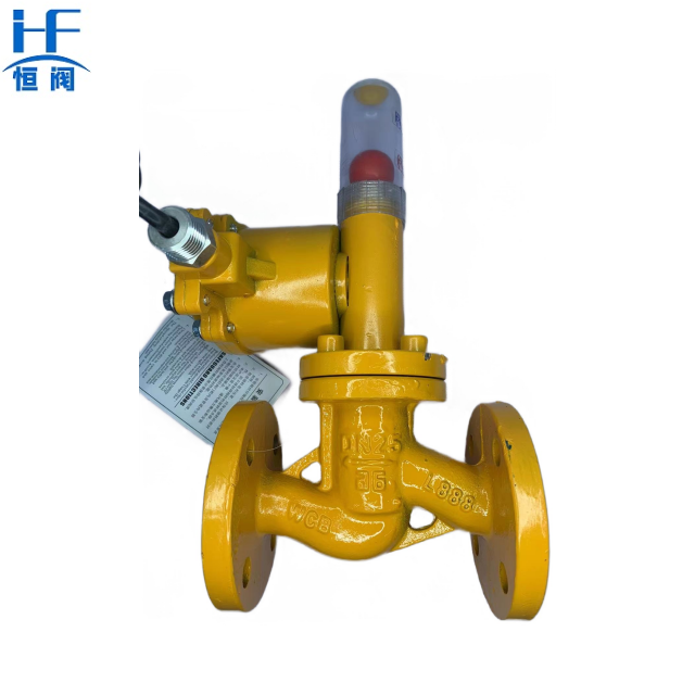 Natural gas emergency cut-off valve 220V normally open  gas safety switch valve DN100 gas solenoid valve