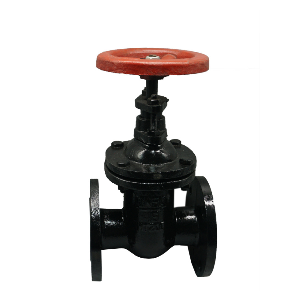 Cast iron gate valve 10k gate valve HT200 4