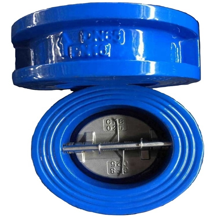 Ductile Iron Body Stainless Steel Disc Dual Plate Wafer Check Valve