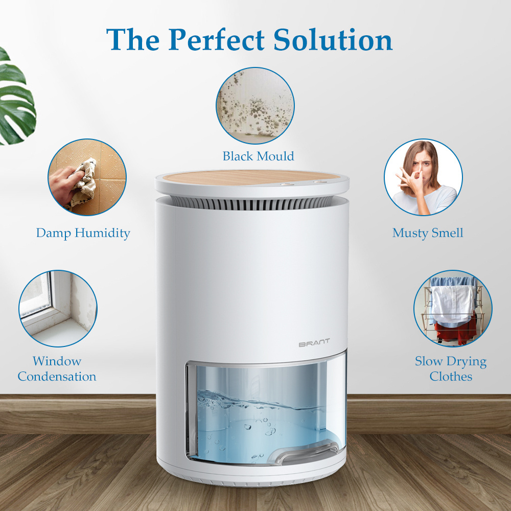 Small Quest Compact Wardrobe Electric Air Desiccant Mini Portable Home Dehumidifier