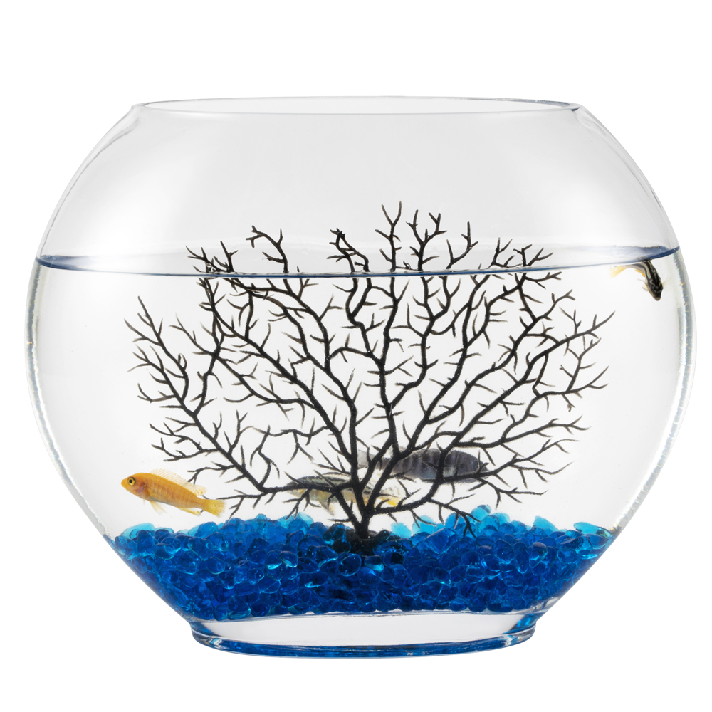 Chinese Hygger 0.75 Gallon Small Fish Bowl, Small Craft Flat Glass Fish Tank Bowl for Fish