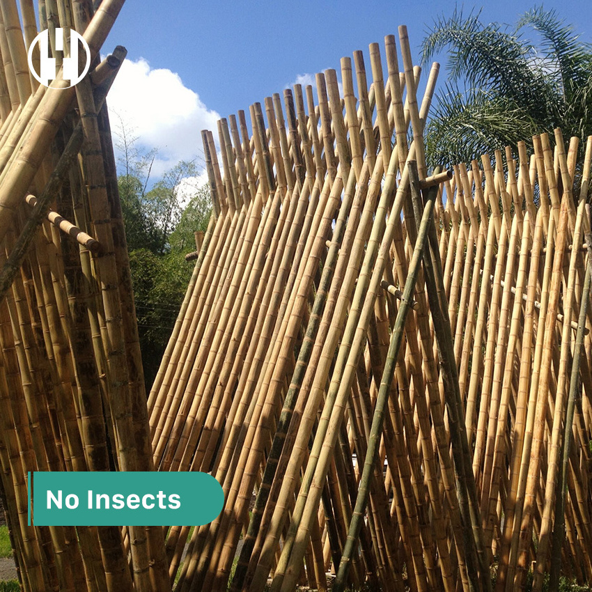 Hyh 100% Raw Bamboo Material Bamboo Pole As The Main Material For Construction