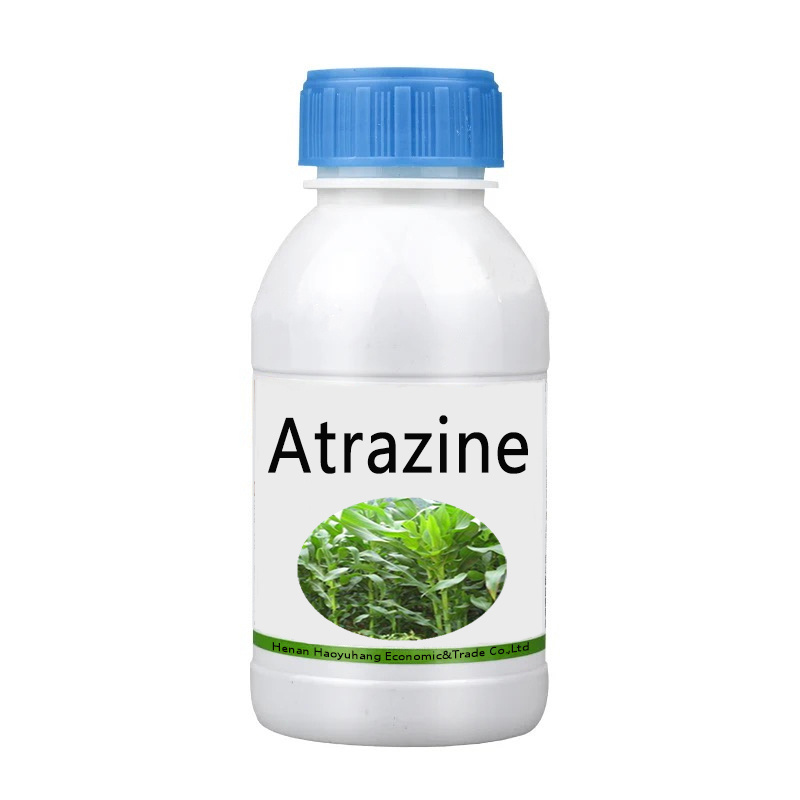 Corn Field Herbicide Atrazine 500g/L 38%SC 48%WP 80%WP 90%WDG Atrazine 95%Tech