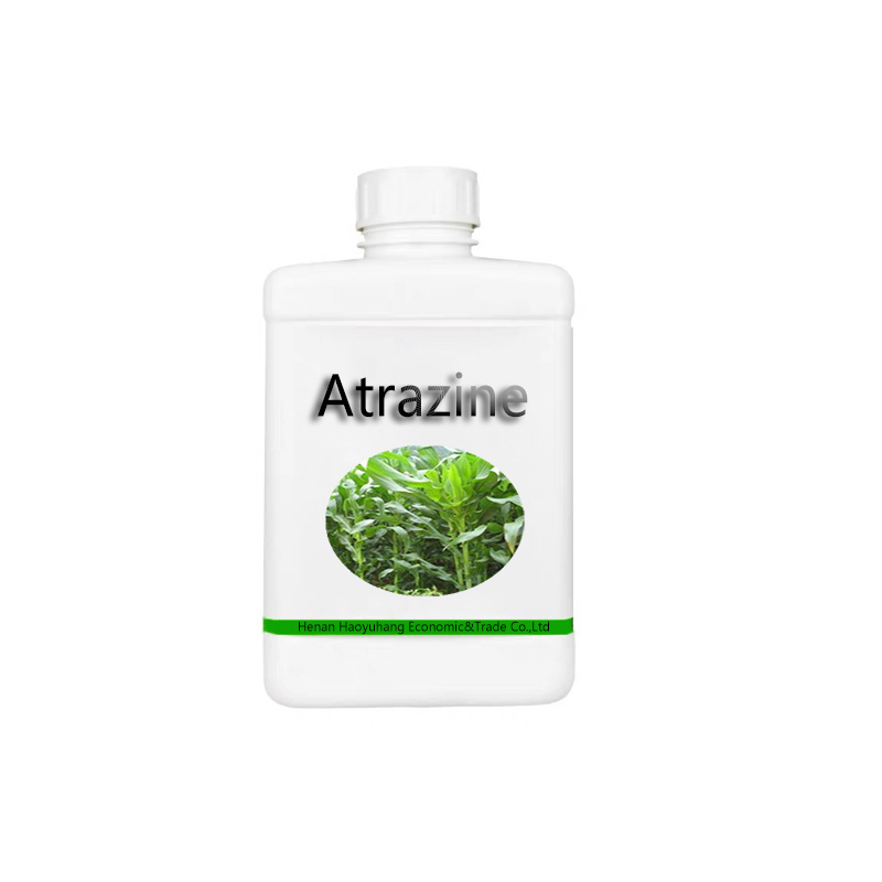 Cas 1912-24-9 Atrazine 95% 97% TC Agrochemical Herbicide Atrazine 38% 50% SC Atrazine 48% 80%WP 90%WDG