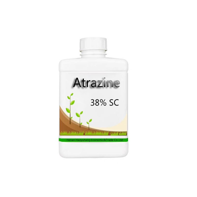 Grass Preventing Chemicals Atrazine Herbicida Atrazine 97% TC 38%SC 50% SC 48%WP 80%WP