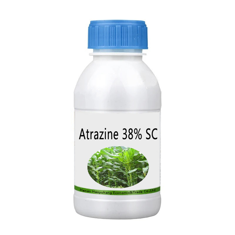 Cas 1912-24-9 Atrazine 95% 97% TC Agrochemical Herbicide Atrazine 38% 50% SC Atrazine 48% 80%WP 90%WDG