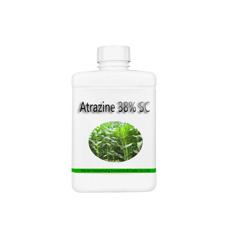 Herbicide Atrazine 80% WP Corn Maize Herbicide Atrazine 38%SC 50% SC