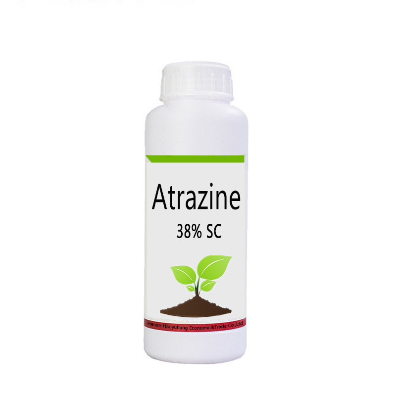 Factory Supply Herbicide Atrazine 97% TC Atrazine 38% 50% SC 48% 80%WP 90%WDG Agrochemical Atrazine