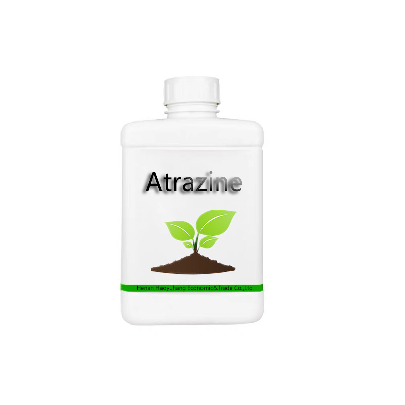 Herbicide Atrazine 95% 97% Tech Atrazine 38% 50% SC Atrazine 48%  80%WP 90%WDG with Factory Price