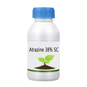 Atrazine 38% 50% SC Atrazine 48% 80%WP 90% WDG Herbicida CAS 1912-24-9 Atrazine 95% 97% Tech