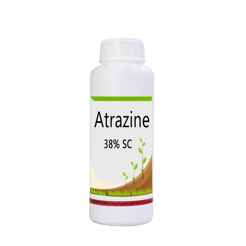 Herbicide Atrazine 95% 97% Tech Atrazine 38% 50% SC 48%WP 80%WP 90%WDG Agriculture Herbicide Atrazine