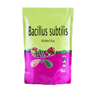 Bacillus subtilis100 Billion CFU/g Beauveria bassiana Metarhizium anisopliae Trichoderma harzianum Mycorrhiza