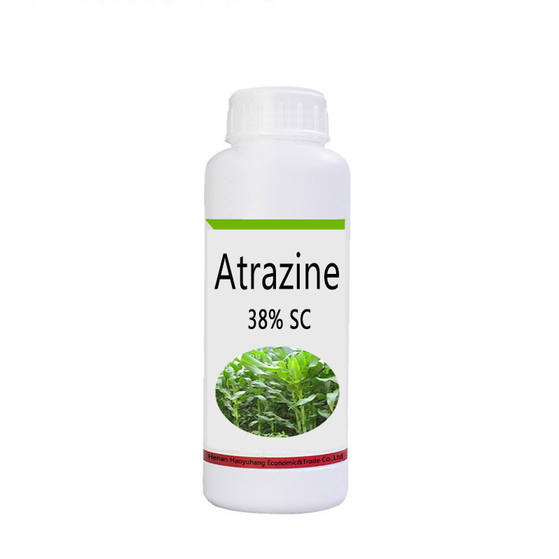 Herbicide Atrazine 80% WP Corn Maize Herbicide Atrazine 38%SC 50% SC