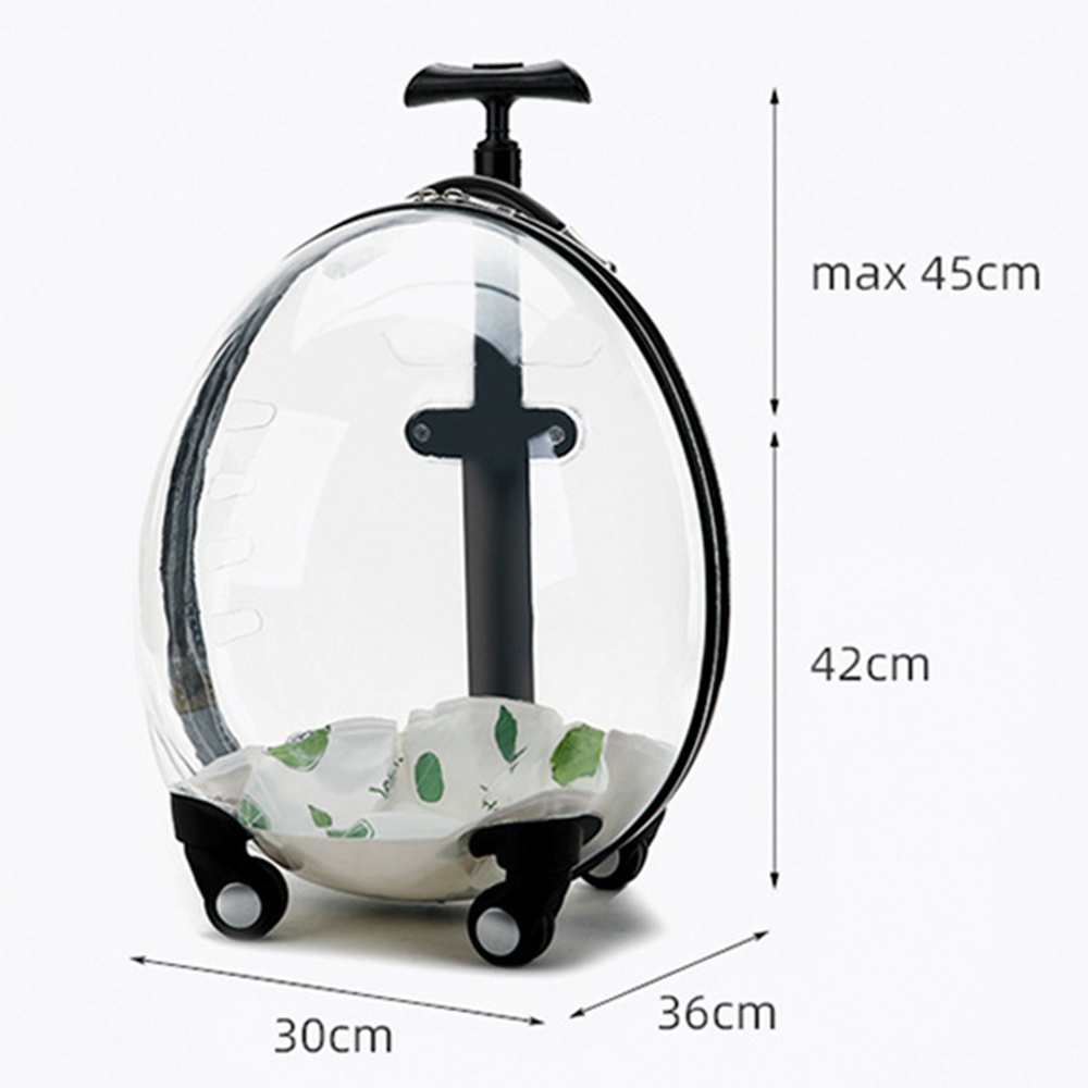 Factory Direct Transparent Viewable Acrylic Carriage Dog Cat Bed Luggage Box Carrier With Wheels