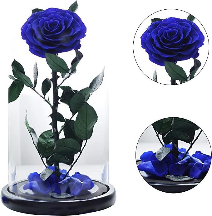 Hot 12*20cm Beauty Beast Belle LED Red Real Everlasting Decorative Flower Gift Box Forever Eternal Preserved Roses in Glass Dome