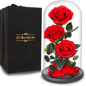 INS top seller Immortal Infinity Preserved Roses Flower Eternal Forever preserved flowers in glass for gift