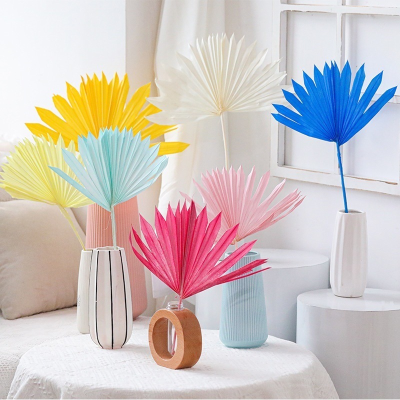 Hot Sale Party Wedding Decoration Dried Flowers Palm Tropical Leaf Fan Pure Natural Dried Palm Leaves