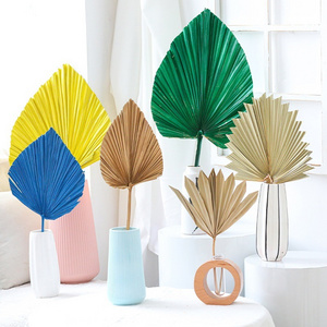 Hot Sale Party Wedding Decoration Dried Flowers Palm Tropical Leaf Fan Pure Natural Dried Palm Leaves