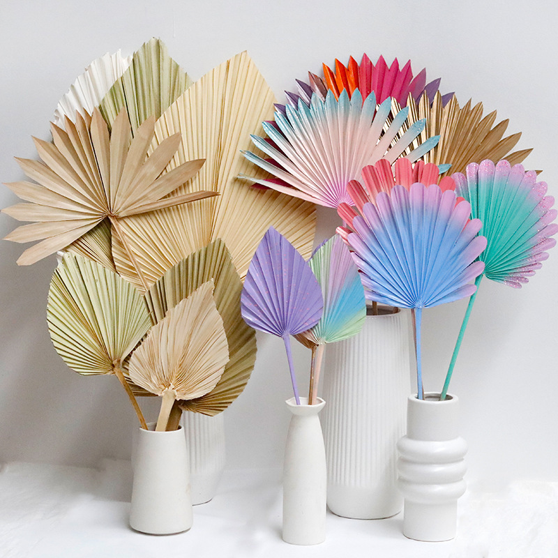 Hot Sale Party Wedding Decoration Dried Flowers Palm Tropical Leaf Fan Pure Natural Dried Palm Leaves