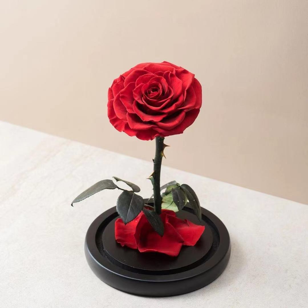 Valentines Day Gifts China Wholesale Real Touch Rosas Eternas Preservadas Fresh Flower Eternal Preserved Rose In Glass Dome