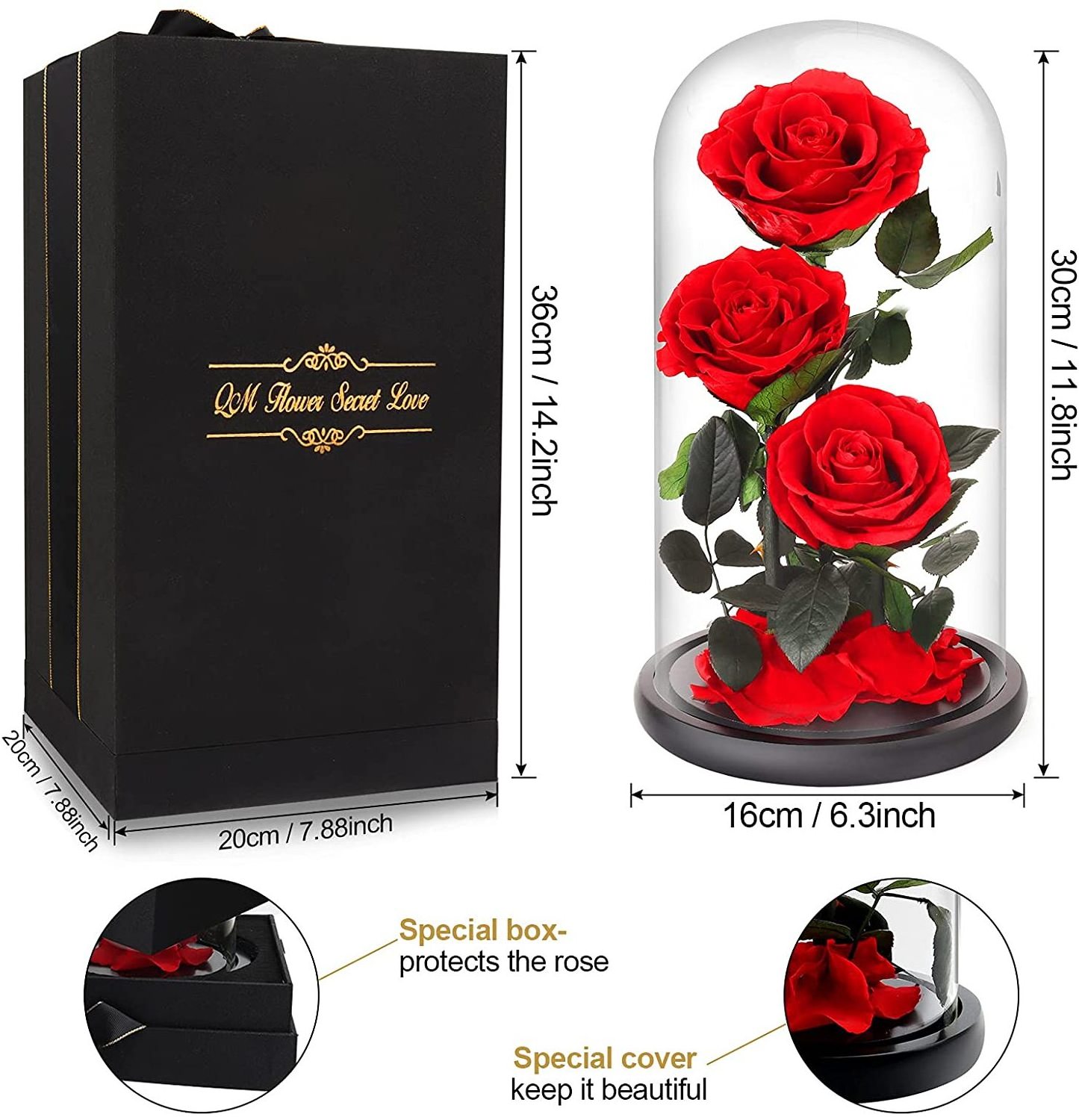 INS top seller Immortal Infinity Preserved Roses Flower Eternal Forever preserved flowers in glass for gift