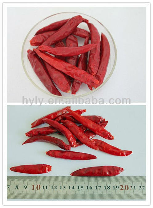 Whole Tianying Chilli Stemless Dried Hot Red AD ISO Raw Spice Huayuan 20 Kg/woven Bags Single Herbs & Spices Spicy Dried Parsley