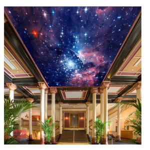 china new 3d effect foxygen stretch ceiling custom stretch ceiling 3.2m pvc stretch ceiling film