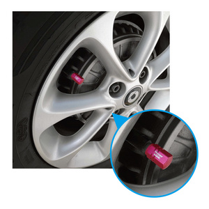 Colourful  Factory Direct Selling  tire valve stem caps cover for car  HP6409