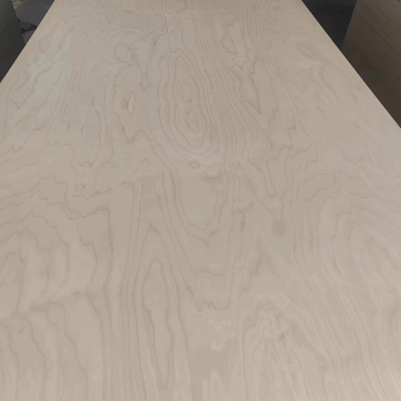 Birch Veneered 18mm Poplar/Eucalyptus Core Plywood UV Coading Plywood for furniture/construction