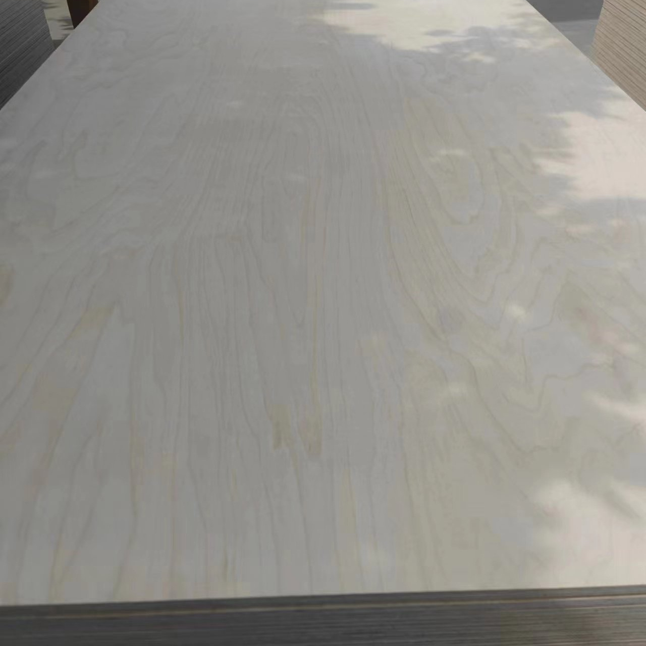 Birch Veneered 18mm Poplar/Eucalyptus Core Plywood UV Coading Plywood for furniture/construction