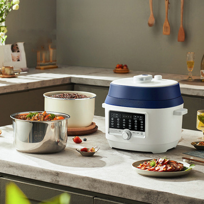 Instant pot 110v to 220v sale