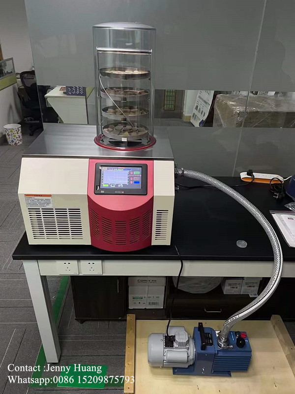China Lyophilizer Freeze Dryer Machine Mini Freeze Dryer for Food ...