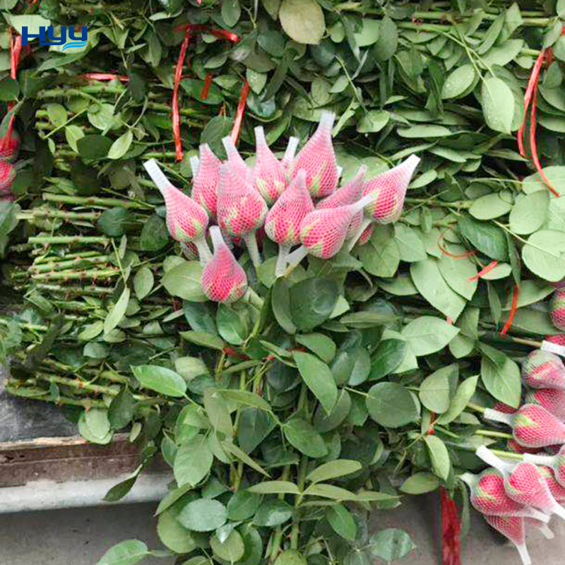 Plastic flower protection net bud net mesh rose bud net