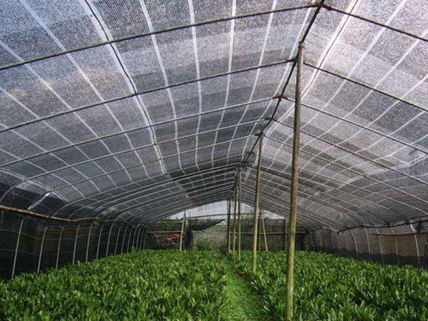 30% 40% 50% 60% 70% UV Resistant Black Agricultural Sun Shade Netting for Green House