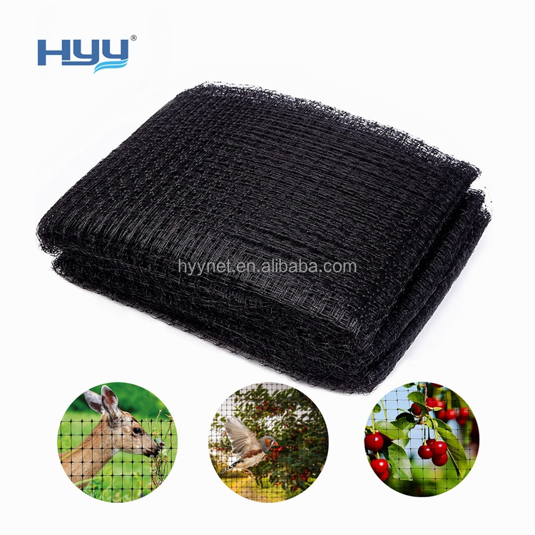 Black Anti Bird Netting Plastic Extruded Catching Bird Net