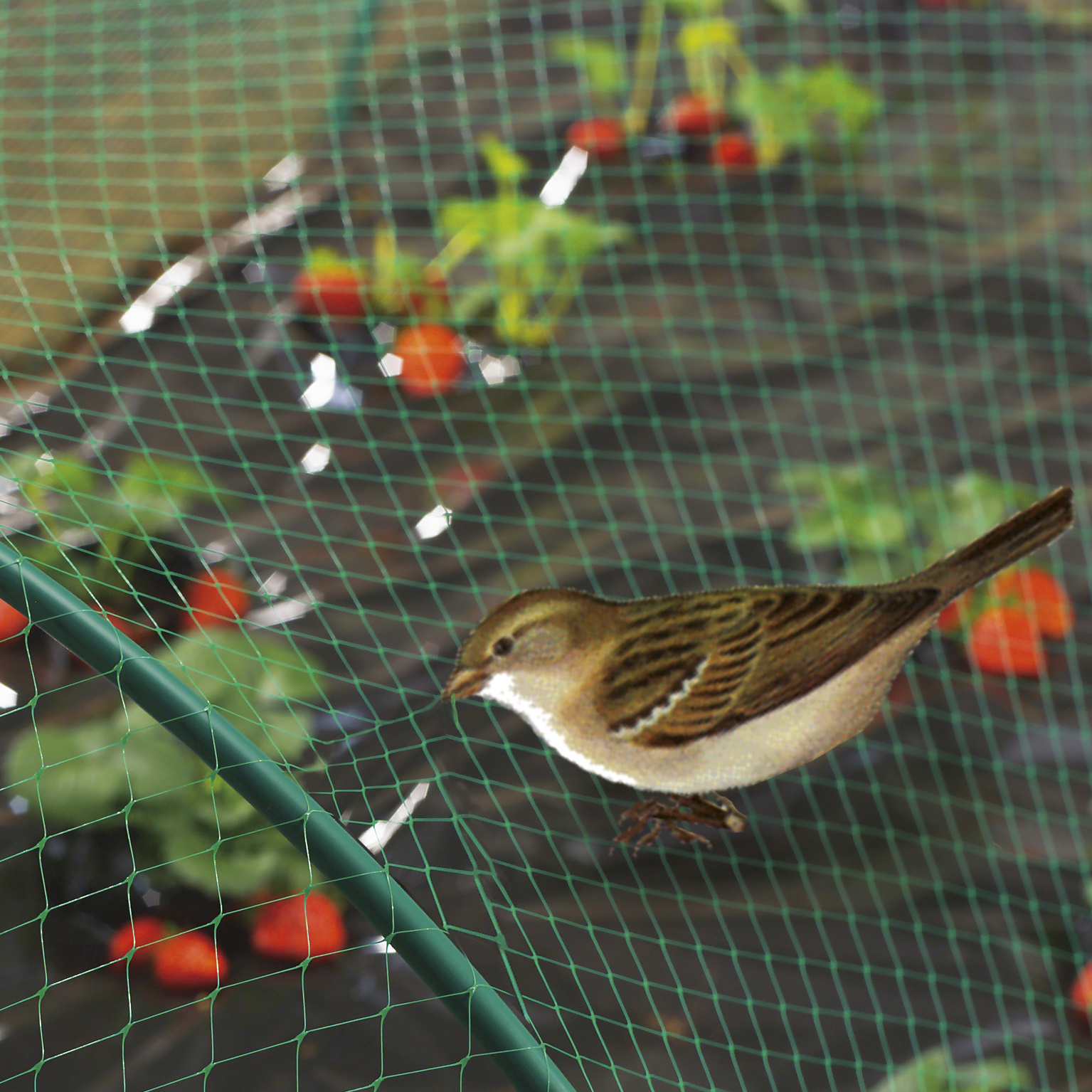 anti bird net for farm