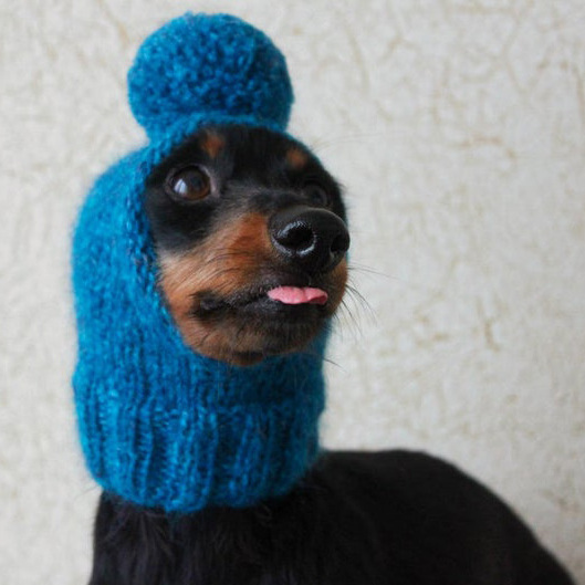 Y-Z Pom-Pom Mini Dachshund Small Dog Hat Knit Knitted Little Dog Pet Hat