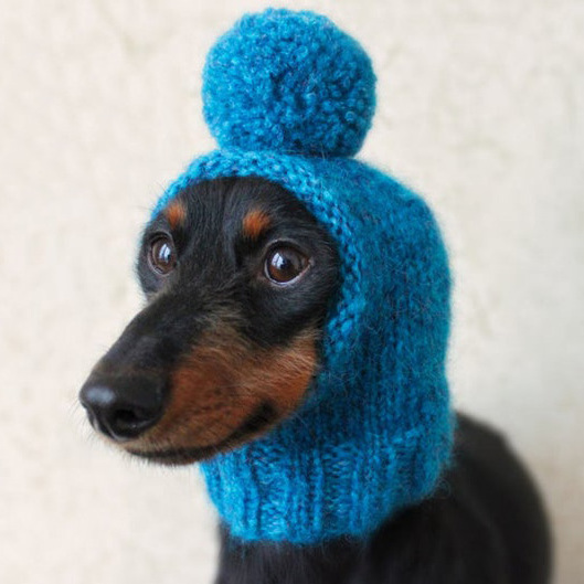 Y-Z Pom-Pom Mini Dachshund Small Dog Hat Knit Knitted Little Dog Pet Hat