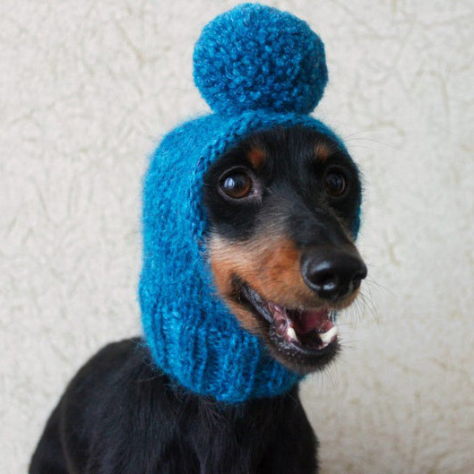 Y-Z Pom-Pom Mini Dachshund Small Dog Hat Knit Knitted Little Dog Pet Hat