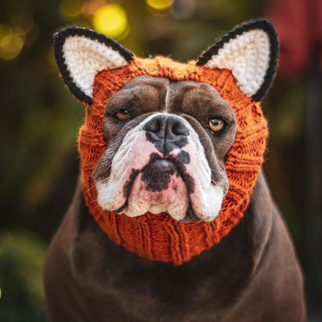 Y-Z custom winter warm halloween knitted dog knit hat cap hot selling pet dog snood hats wholesale