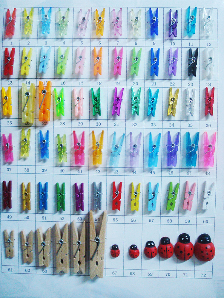 Wholesale Beautiful Small Clothes Plastic Peg