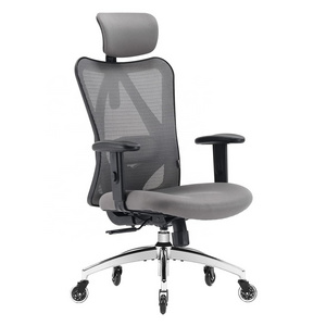 OEM Silent Wheels Office Chair Big and Tall Mesh Chairs Adjustable Headrest with 2D Armrest