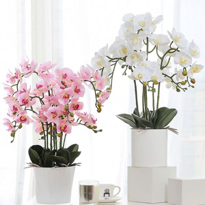 Flowers Artifical Large Yiwu White Pink China Real Touch Orchid  Artificial Flower For Wall Decoration